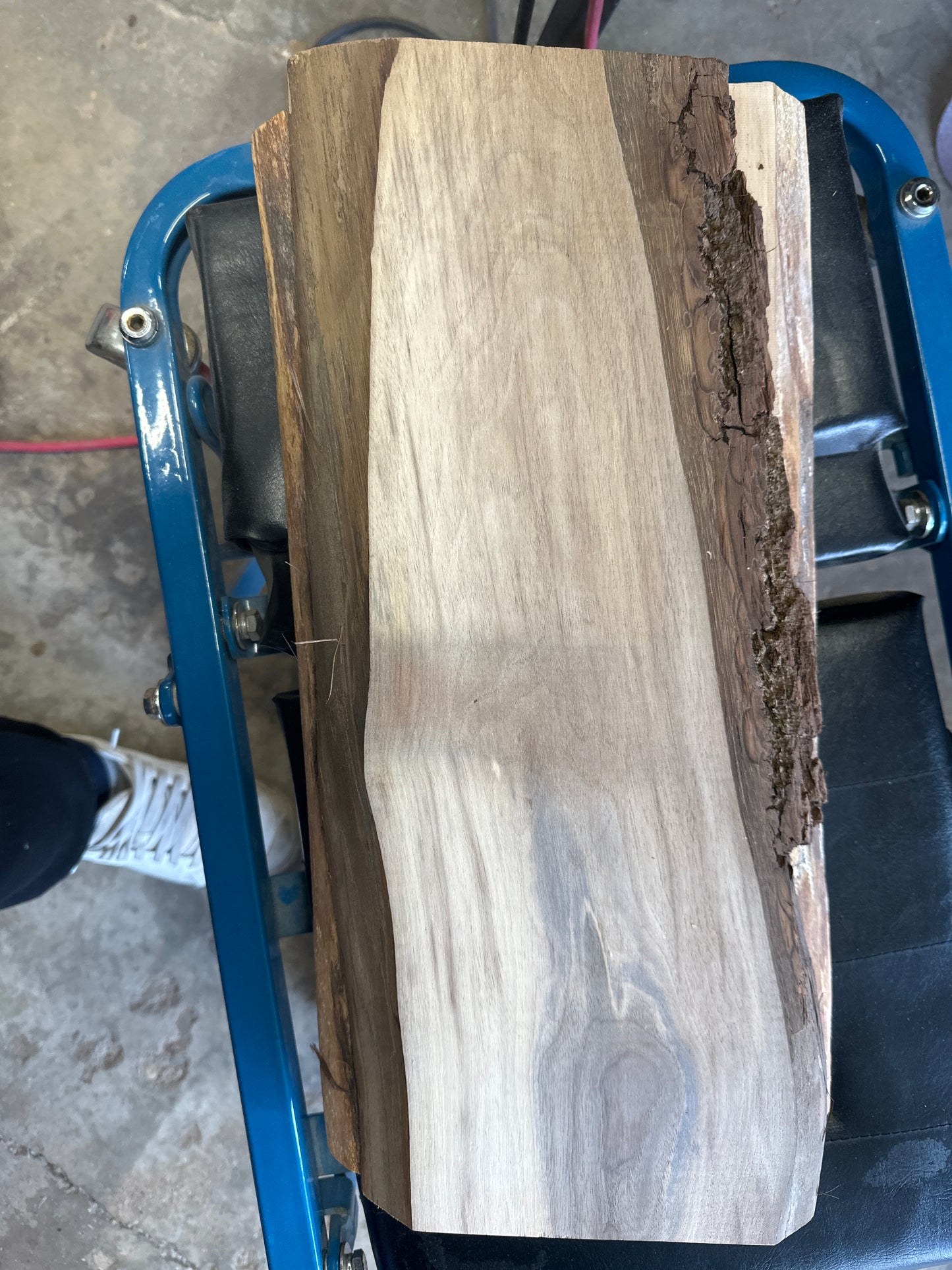 Walnut Live Edge-Customize Me